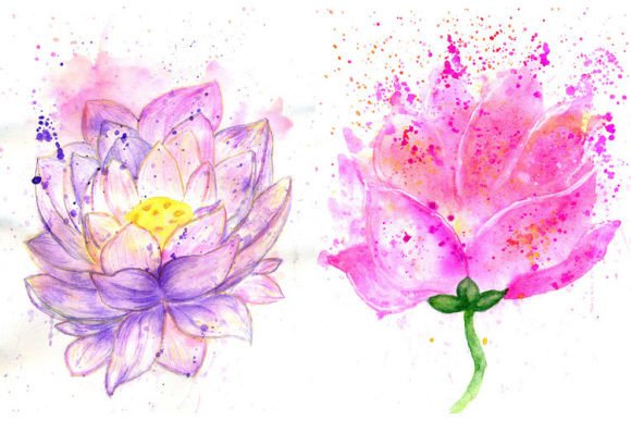 Download Lotus Flower Watercolor - Flower Collection