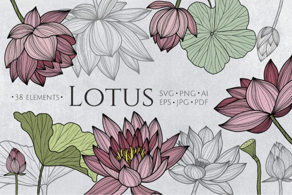 Download Lotus Flowers SVG Line Art - Flower Collection